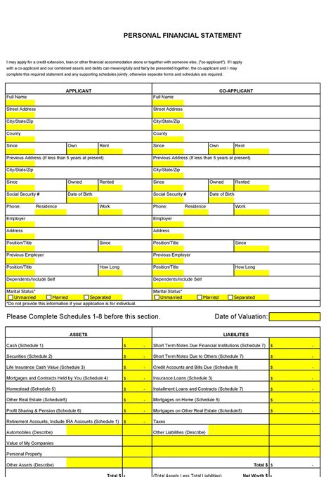 40+ Personal Financial Statement Templates & Forms - Template Lab