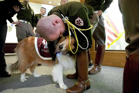 Aggie mascot Reveille VIII to retire at school year's end