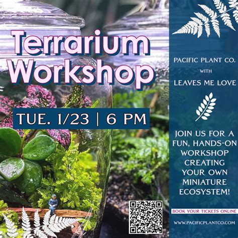 Terrarium Workshop – EnjoySLO