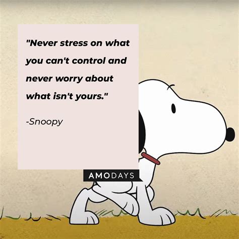 57 Uplifting Snoopy Quotes to Remedy a Tough Day