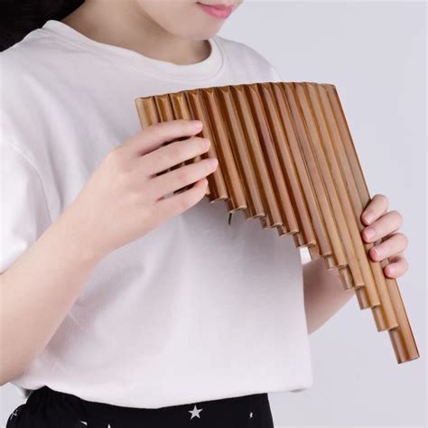 Muslady seruling 15 Pipa instrumen angin Panpipe G kunci Panpipe tradisional Cina Woodwind ...