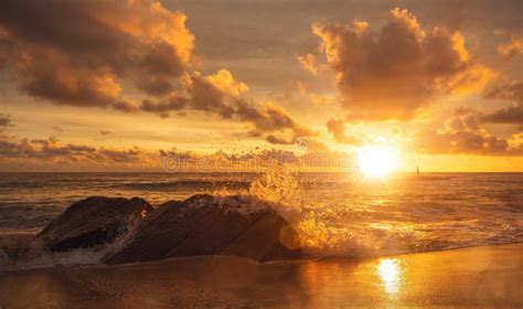 Inspiring Sunrise at the Beach with a Person on the Horizon Stock Photo - Image of strong, rocks ...