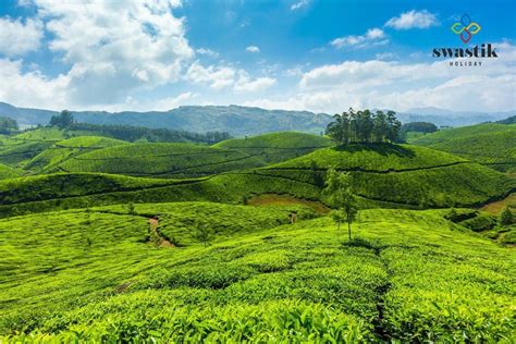 Munnar, Thekkady & Alleppey Tour Package