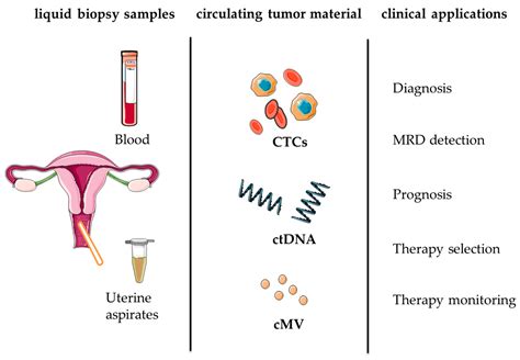 Liquid biopsy in endometrial cancer – new opportunities for personalized oncology | Exosome RNA