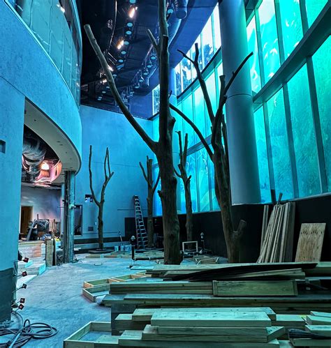 VIDEO: Get a behind-the-scenes tour of Orlando Science Center's under-construction animal ...