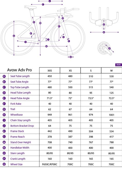 Giant Liv Bike Size Chart | ppgbbe.intranet.biologia.ufrj.br