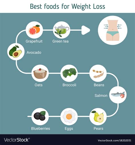 Best foods for weight loss Royalty Free Vector Image