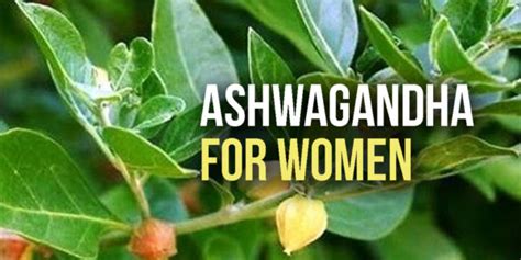 Ashwagandha for Women: Benefits, Cautions and How to Use it Safely - Dr. Brahmanand Nayak