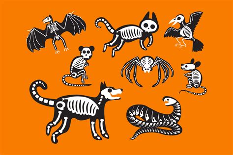 Halloween Animal Skeletons Set Graphic by barsrsind · Creative Fabrica