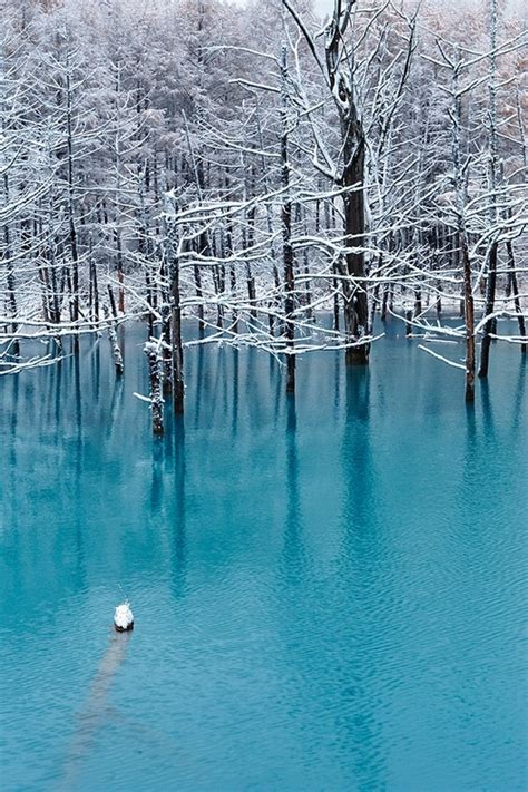 'Blue Pond' Biei, Hokkaido, Japan | What a wonderful world | Pinterest