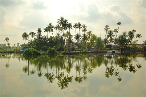 12 Best Tourist Places Near Kochi - Popular Weekend Getaways