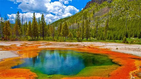 Yellowstone National Park