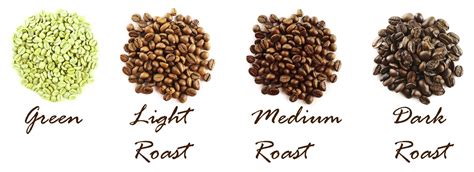 Types Of Coffee Roasts Explained: Find Your Ideal Coffee