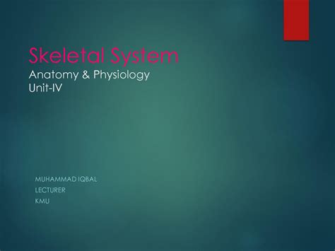 SOLUTION: Skeletal system anatomy physiology unit iv for stds - Studypool