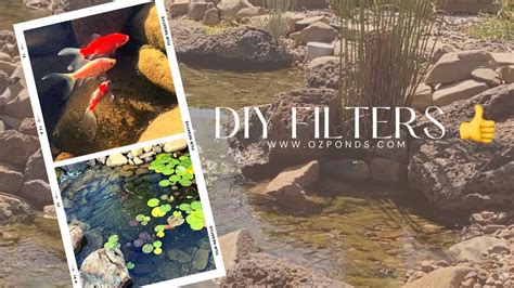 DIY goldfish pond and stream| DIY Filters - YouTube