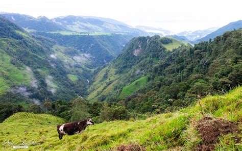 Los Nevados: A Guide to Parque Nacional Natural Los Nevados