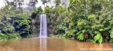 Cairns Waterfall Circuit: self-drive itinerary with a map to view ...