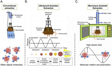 Ultrasound Assisted Extraction of Food and Natural Products. Mechanisms ...