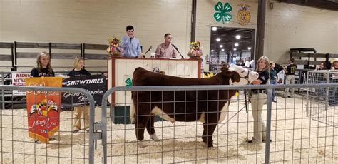 Maryland State Fair Youth Livestock Sale grosses over $144,000 for 4-H ...