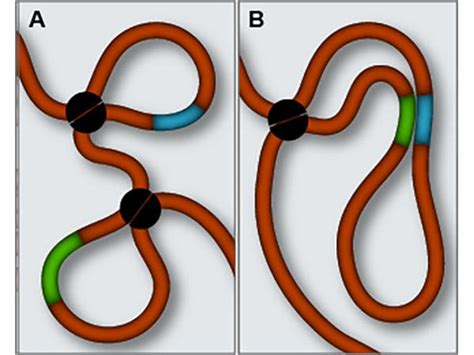 Misfolded DNA Linked to Brain Tumors - NCI