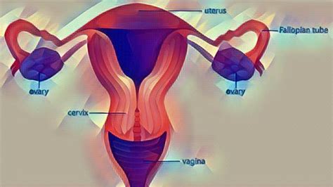 Endometrial Cancer: Causes, Symptoms, Diagnosis and Treatment - Boldsky.com