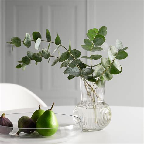 Glass Vases | Flower, Floor, Tall & All Sorts of Vases - IKEA