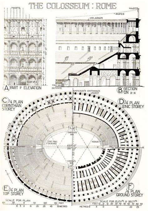 roman colosseum architecture - Google Search | Roman architecture ...