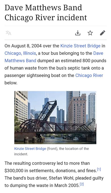 36 Hilarious Dave Matthews Band Chicago River incident Puns ...