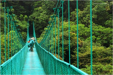 Hanging Bridges - Costa-Rica Insider