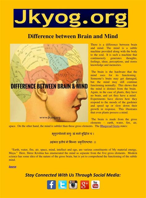 PPT - Difference between Brain and Mind PowerPoint Presentation, free download - ID:7322852