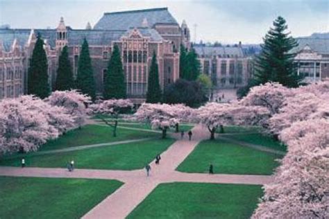 Architecture - University of Washington | College Majors 101 - Discover ...