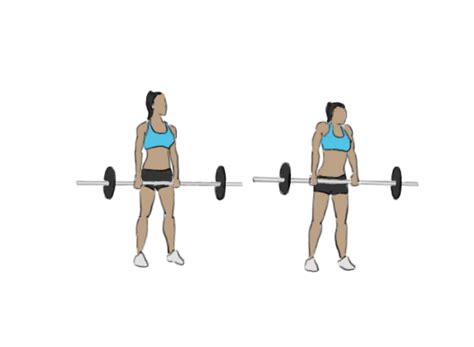 Barbell shrugs - GoFitnessPlan