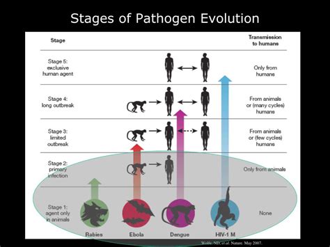 PPT - Long-term Ecological Monitoring Plots as Sentinel Sites for ...