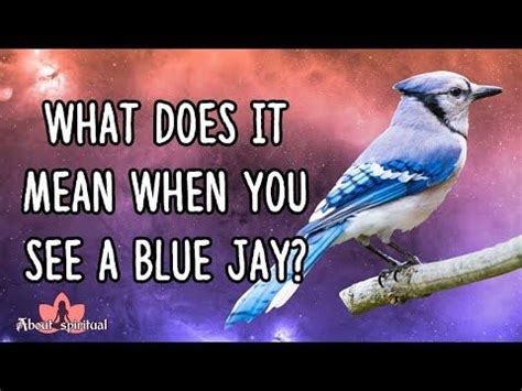 Blue jay symbolism spiritual meanings of seeing blue jays – Artofit