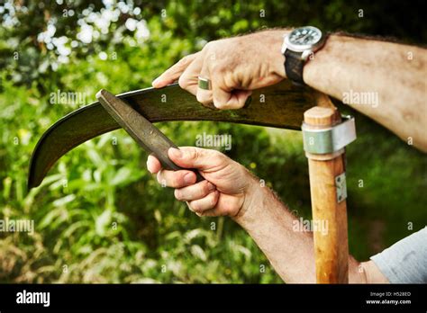 Scythe blade hi-res stock photography and images - Alamy