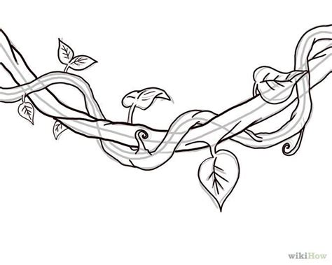 How to Draw a Jungle Vine: 7 Steps - wikiHow | Vine drawing, Flower ...