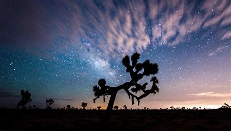 Landscape, night sky, and clouds at Joshua Tree National Park ...