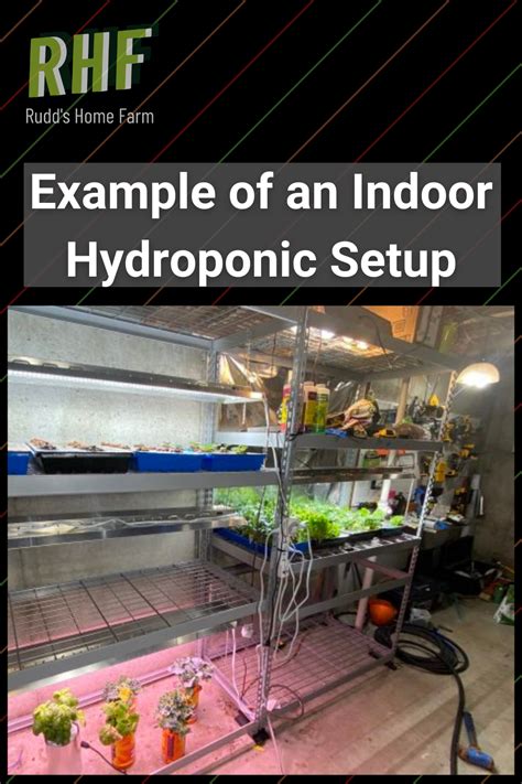 Example of an Indoor Hydroponic Setup | Hydroponics, Hydroponics diy, Hydroponic starter kit