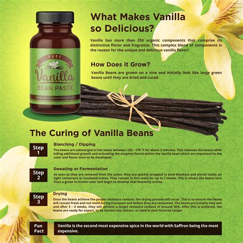 Gourmet Vanilla Bean Paste for Baking - With Real Vanilla Seeds – Vanilla Bean Kings