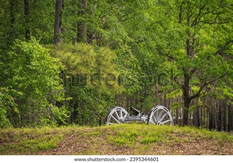 4 Moores Creek Historical Remnant Images, Stock Photos, 3D objects, & Vectors | Shutterstock