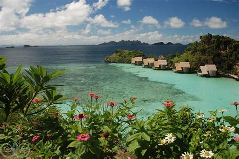 Misool Eco Resort Raja Ampat - Dive the centre of biodiversity