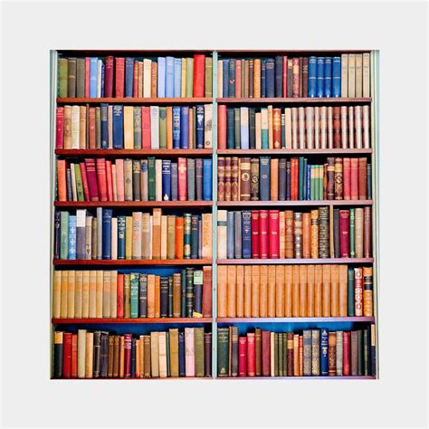 Book Lover Gift, Library Wall Art, Library Photo, Bookshelves Photo ...