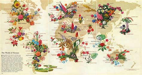 [Map] The World of Flowers, 1968 | Illustrierte karten, Infografik, National geographic