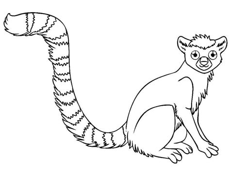 Printable Cute Lemur coloring page - Download, Print or Color Online for Free