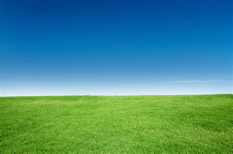 Premium Photo | Green Grass Texture with Blang Copyspace Against Blue Sky