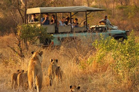 Tripadvisor | Safari de dia inteiro no Parque Nacional Kruger ...