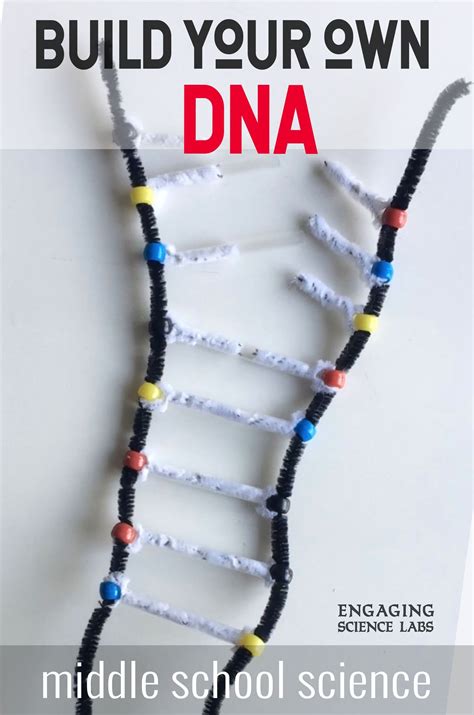 Build your own DNA. Kids will see how the base pairs combine and it ...