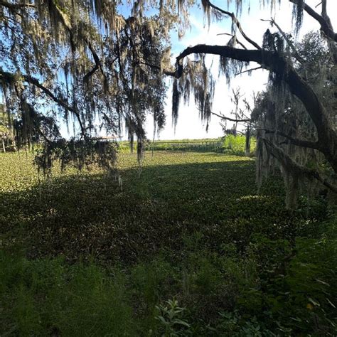 La Chua Trail & Alachua Sink - Hiking Trail in Gainesville