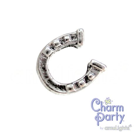 Horseshoe Charm – amulights