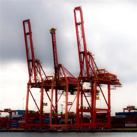 ongoing photo by Tim Bray · Container Cranes